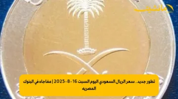 تطور جديد.. سعر الريال السعودي اليوم السبت 16-8-2025 | مفاجأة في البنوك المصرية